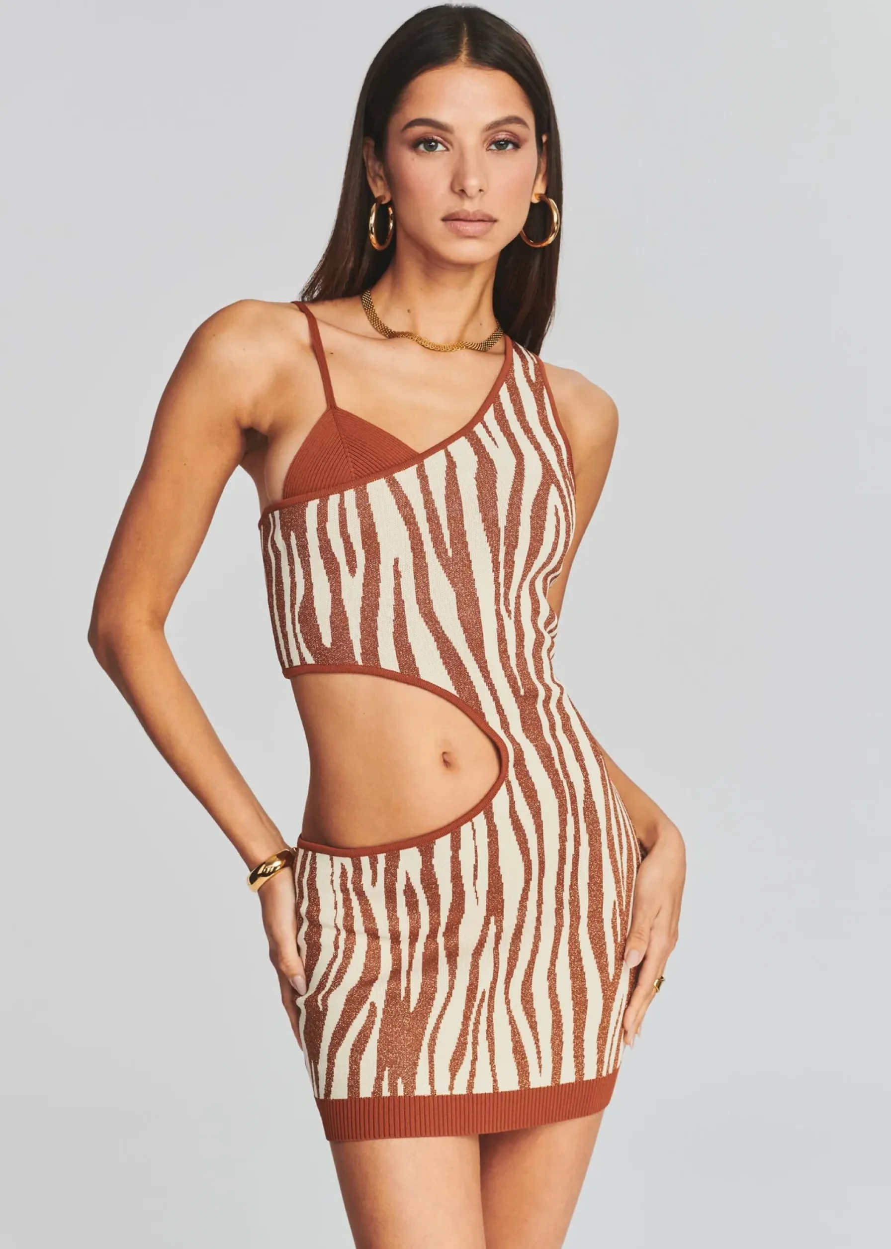 Retrofete Dimi Dress Brown Zebra Sale